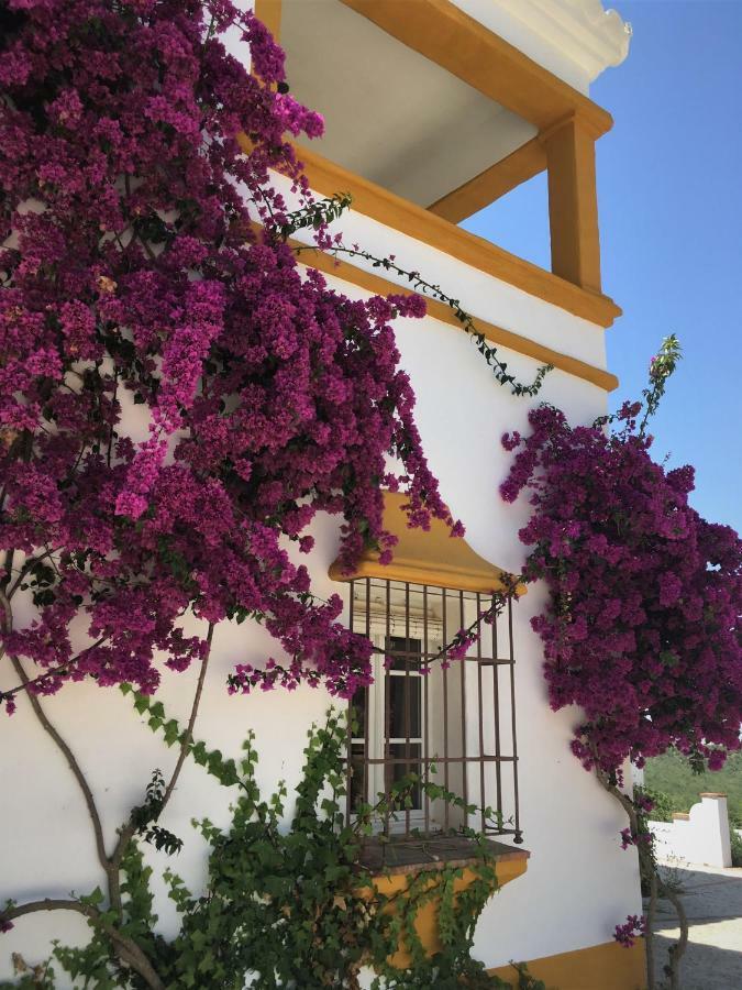 Montellano Hacienda La Morena المظهر الخارجي الصورة