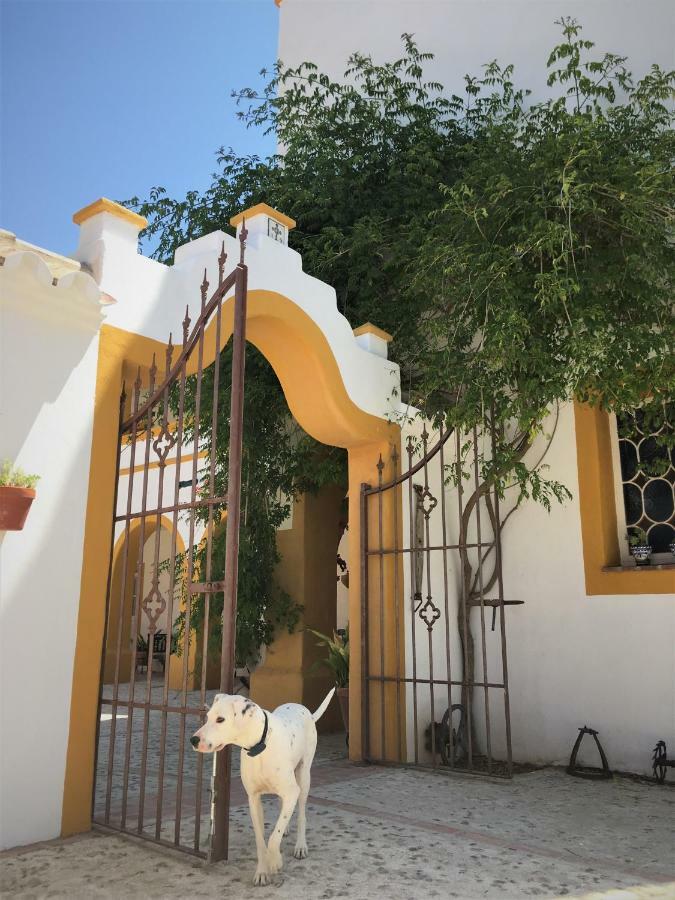 Montellano Hacienda La Morena المظهر الخارجي الصورة
