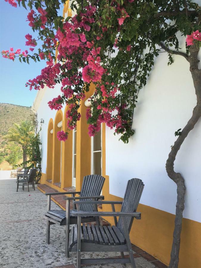 Montellano Hacienda La Morena المظهر الخارجي الصورة