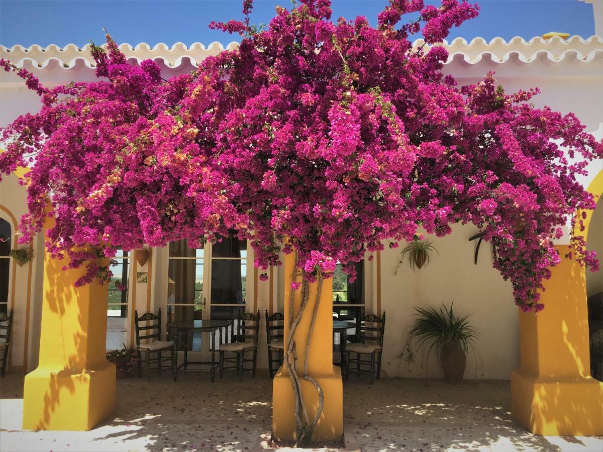 Montellano Hacienda La Morena المظهر الخارجي الصورة