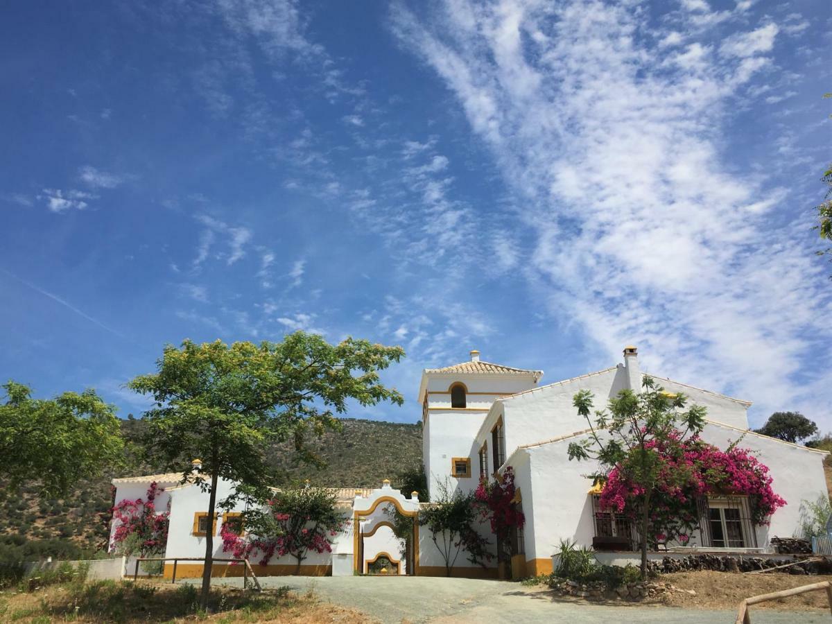 Montellano Hacienda La Morena المظهر الخارجي الصورة