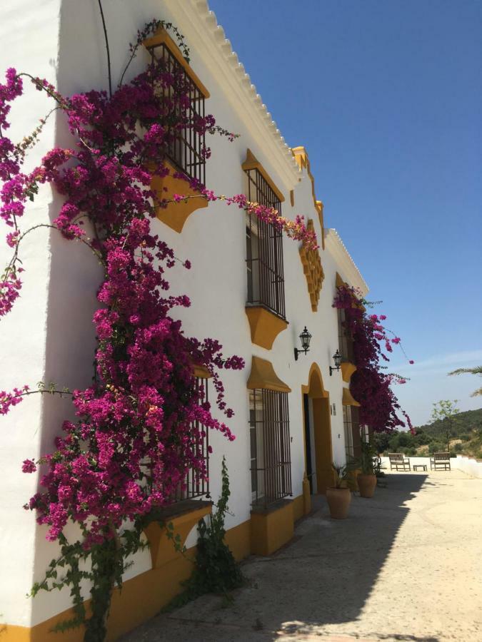 Montellano Hacienda La Morena المظهر الخارجي الصورة